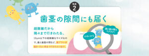 デンタブロック乳酸菌®は超微細なサイズ（10μm以下）であるため、歯と歯茎の隙間など、歯ブラシが届きにくい場所にも行き渡ります