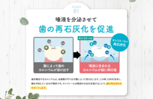 唾液の分泌促進効果